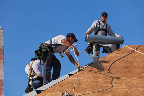 Best Flat Roof Repair Services  in Tice, FL