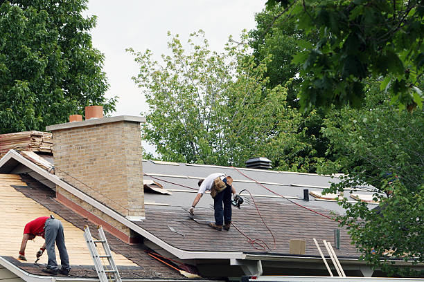 Roof Gutter Cleaning in Tice, FL