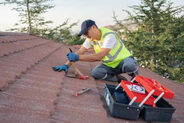 Best Roof Leak Repair  in Tice, FL