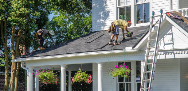 Best Flat Roof Repair Services  in Tice, FL
